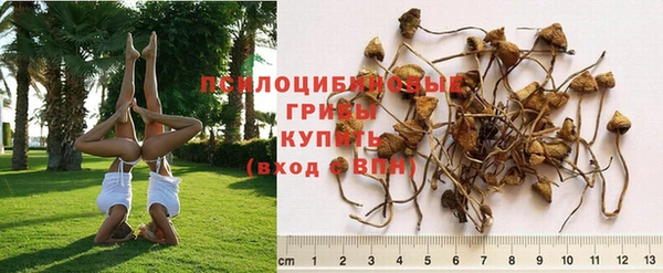 альфа пвп VHQ Богородицк