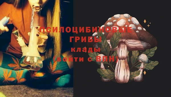 ГАЛЛЮЦИНОГЕННЫЕ ГРИБЫ Бородино