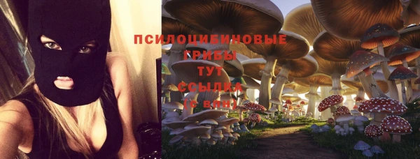 ГАЛЛЮЦИНОГЕННЫЕ ГРИБЫ Бородино
