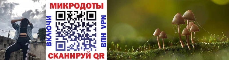 Галлюциногенные грибы Psilocybe  Вяземский 